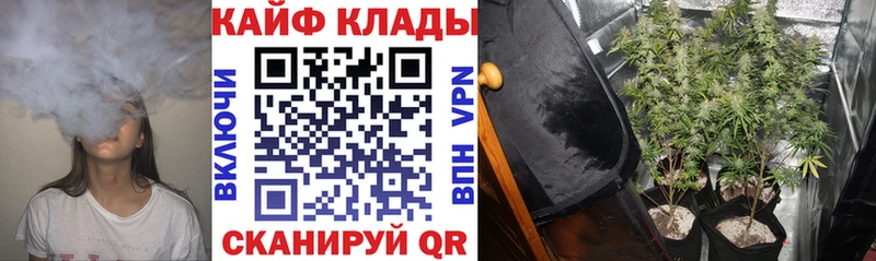 Где можно купить наркотики Змеиногорск Cocaine  ссылка на мегу онион  Гашиш 
