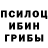Галлюциногенные грибы Cubensis Katya Perrrytt