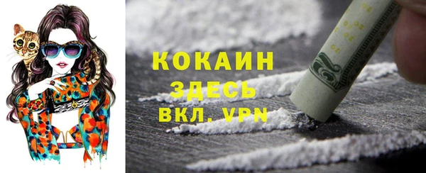 крисы Абаза