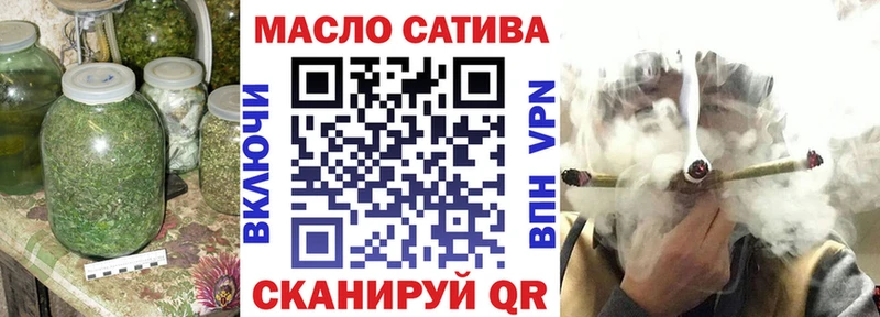 МЕГА как зайти  Змеиногорск  Дистиллят ТГК THC oil  купить  сайты 