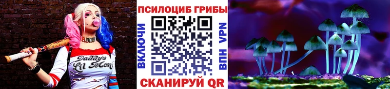 что такое   Змеиногорск  Псилоцибиновые грибы мицелий 